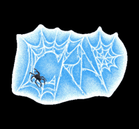 Crapeyewearspiderweb GIF by CRAP Eyewear