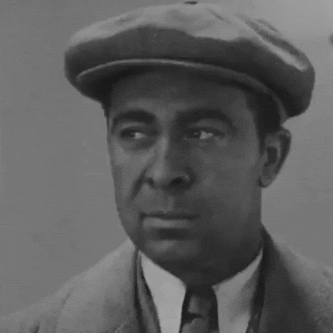 Wins_and_Lessons black and white smirk wins and lessons wins lessons GIF