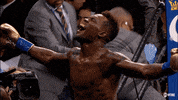 Sport Boxing GIF by SHOWTIME Sports