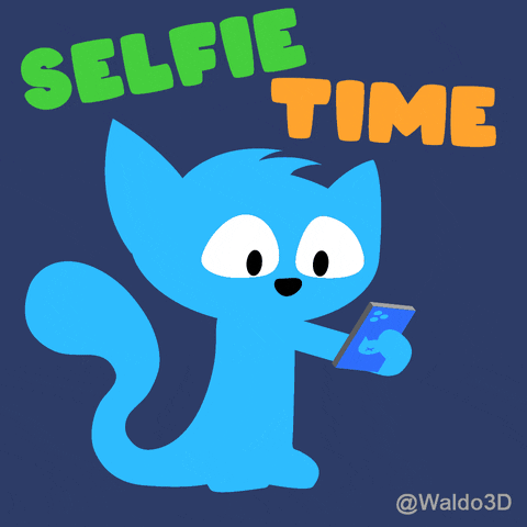 Waldo3D cat photo selfie smartphone GIF