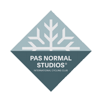 Pns Sticker by PAS NORMAL STUDIOS