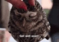 share get GIF