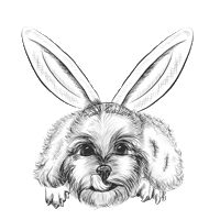Snacks Treats Sticker by 8in1