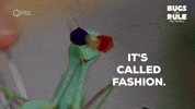 Praying Mantis Fashion GIF by PBS