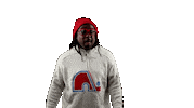 Pointing At You Montreal Canadiens Sticker by BDHCollective