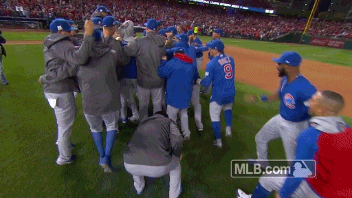 celebrate chicago cubs GIF by MLB