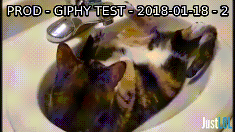 try not to laugh americas funniest home videos GIF by Unreel Entertainment
