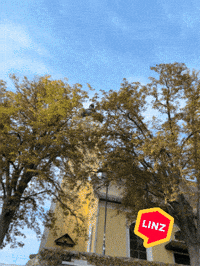 Sky Autumn GIF by Linz News