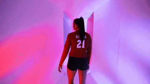 Wisconsin Volleyball GIF by Wisconsin Badgers
