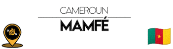 Nn Cameroon Sticker by NoirNomads