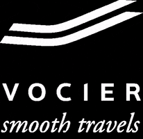 Smooth Travels GIF by Vocier