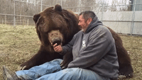 10 Foot Cuddly Bear Just Wants to Hug Man