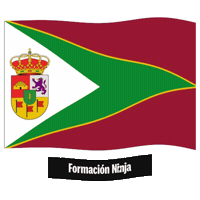 Castilla Y Leon Flag Sticker by Formación Ninja