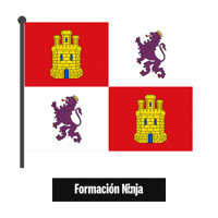 Castilla Y Leon Flag Sticker by Formación Ninja