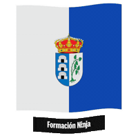 Castilla Y Leon Flag Sticker by Formación Ninja