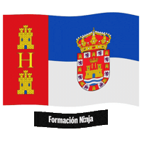 Castilla Y Leon Flag Sticker by Formación Ninja