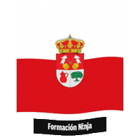 Castilla Y Leon Flag Sticker by Formación Ninja