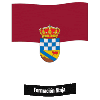 Castilla Y Leon Flag Sticker by Formación Ninja