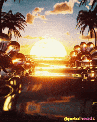 Vacation Sunset GIF by Evan Hilton