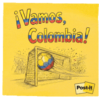 Colombia Seleccioncolombia GIF by 3M