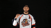 hockey fist bump GIF by Greenville Swamp Rabbits