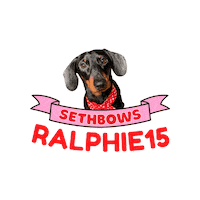 Dachshund Doxie Sticker by SethBows