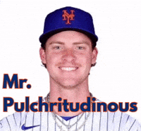 Mets Lfgm GIF