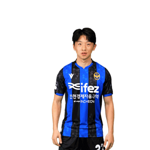 Football Soccer Sticker by Incheon United FC