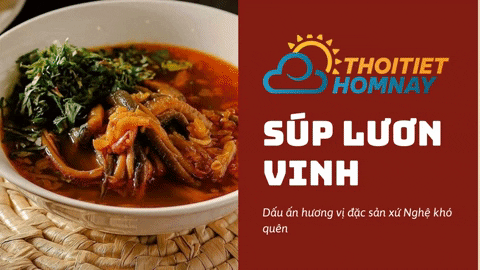 thoitiethomnayvn giphyupload vinh nghệ an súp lươn GIF