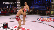 GIF by Bellator