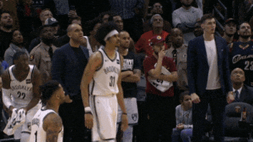 excited brooklyn nets GIF by NBA