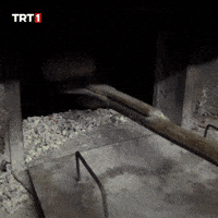 Hungry Kitchen GIF by TRT