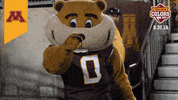 College Sports Minnesota GIF by College Colors Day