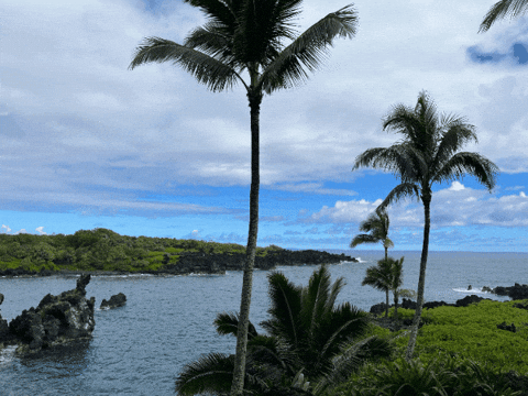 craigspiesman giphygifmaker giphyattribution GIF