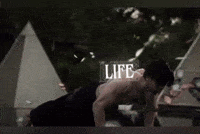 Butterfly Simba GIF