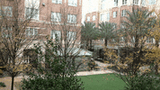 Education Vocabulary GIF by DIIMSA Stock