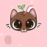 Cat Coconut GIF by RoxyOpalGM
