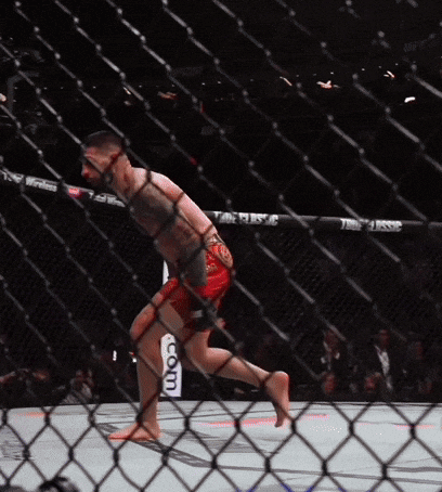 El Matador Sport GIF by UFC