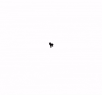 Misspaneer GIF