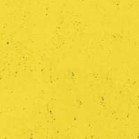 SVLeibenstadt1946 1946 svl gelbschwarz dorfverein GIF