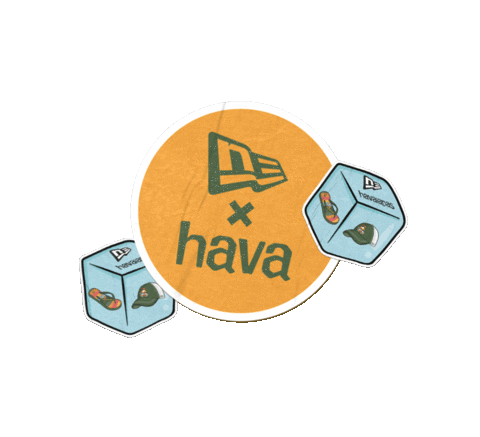 Newera Sticker by Havaianas