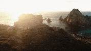 Beach Running GIF by nettwerkmusic