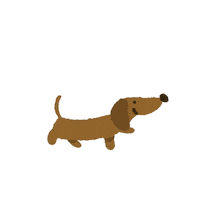 Petitgravier walking teckel daschund petitgravier Sticker