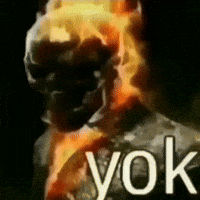 solacefie nope yok ghostrider solacefie GIF