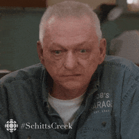 Confused Schitts Creek GIF by CBC