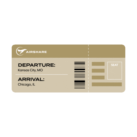 FlyAirshare travel flying plane airplane Sticker