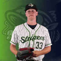 GoStripers gwinnett stripers allard GIF