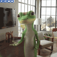 Hold On Wait GIF by GEICO