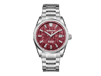 Performance Watches Sticker by World of Quantum