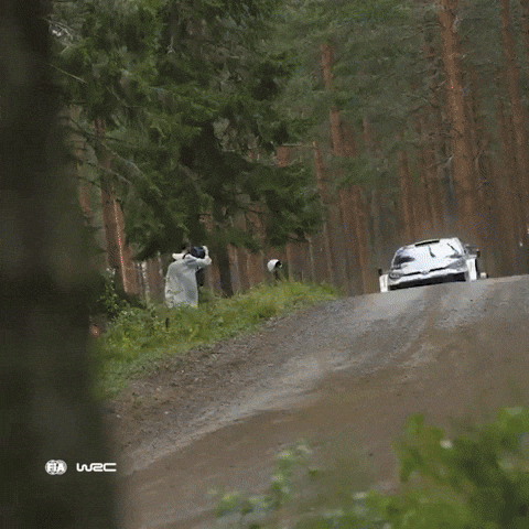 Toyota GIF by FIA World Rally Championship